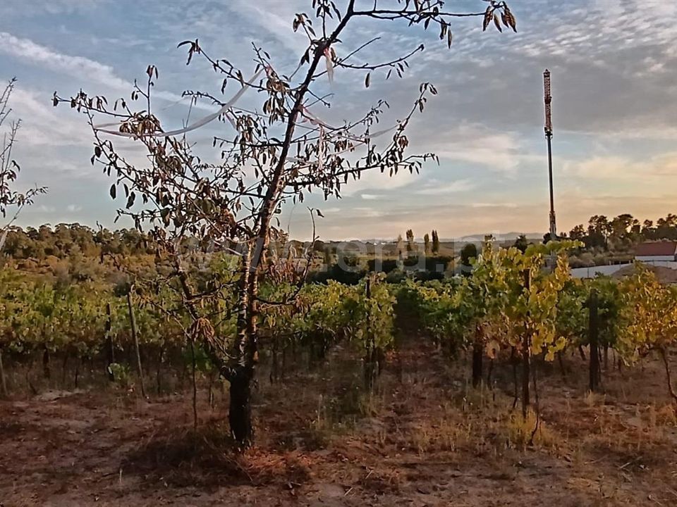 Helårsgrund i Viseu, Viseu - foto 3