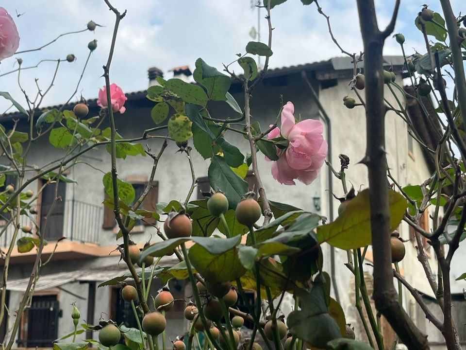Casa de campo en Robella, Asti - foto 4
