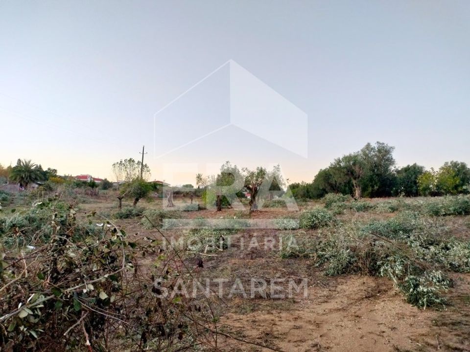 Helårsgrund i Alcanhoes, Santarem - foto 2