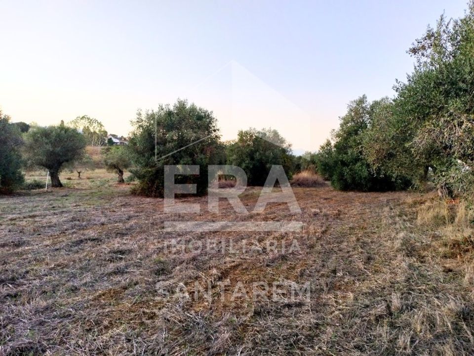 Helårsgrund i Alcanhoes, Santarem - foto 3