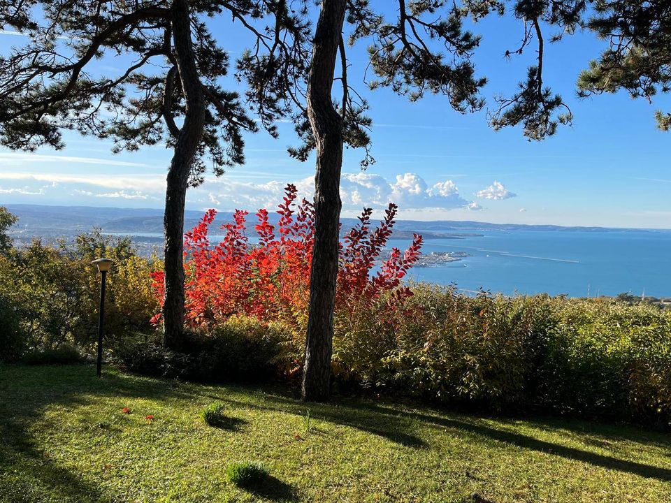 Villa i Trieste, Trieste - foto 1