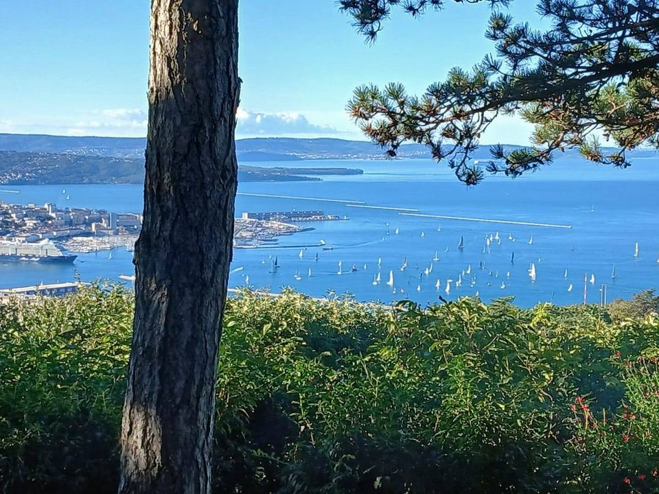 Villa i Trieste, Trieste - bilde 5