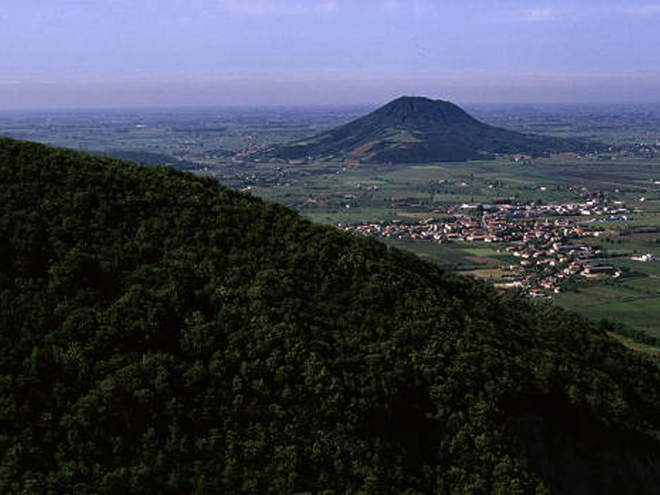 Erhvervsejendom i Monselice, Padua - foto 1