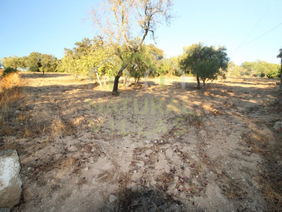 Helårsgrund i Sao Bras de Alportel, Faro - foto 2