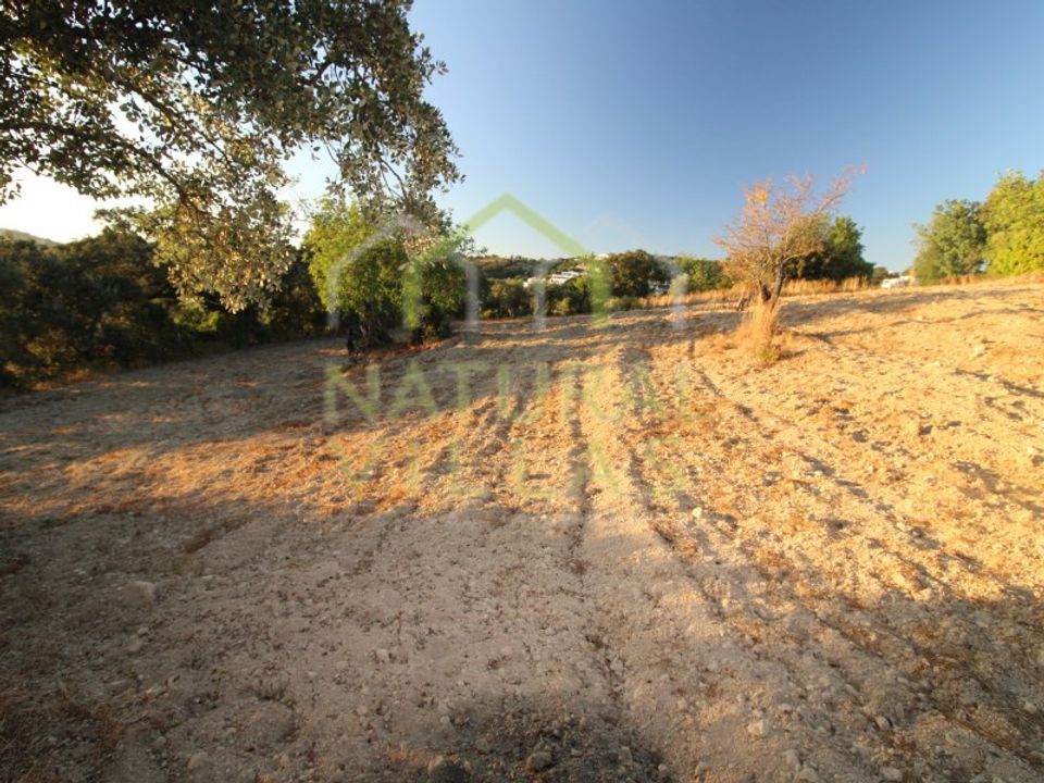 Helårsgrund i Sao Bras de Alportel, Faro - foto 3