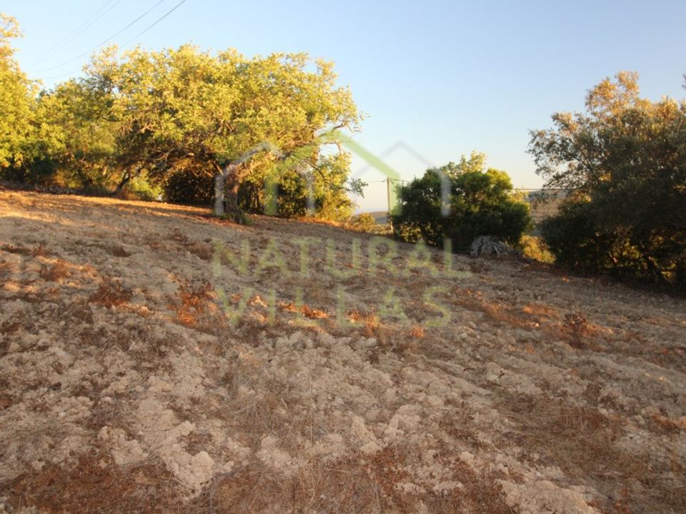 Helårsgrund i Sao Bras de Alportel, Faro - foto 4