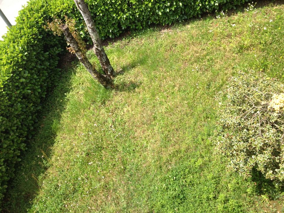 Villa i Barga, Lucca - foto 4