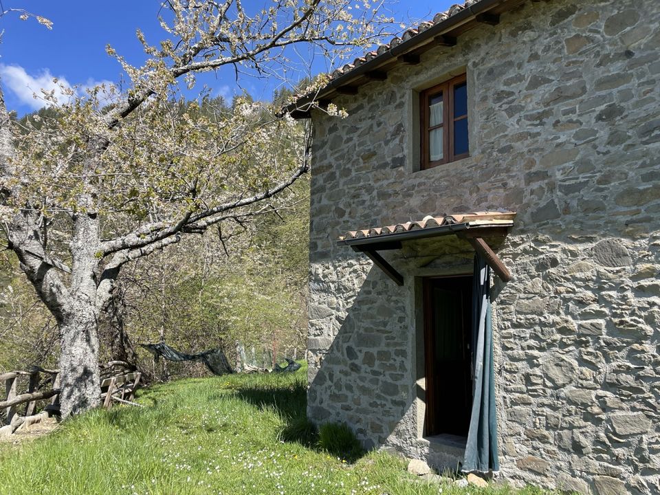 Landejendom i Barga, Lucca - foto 5