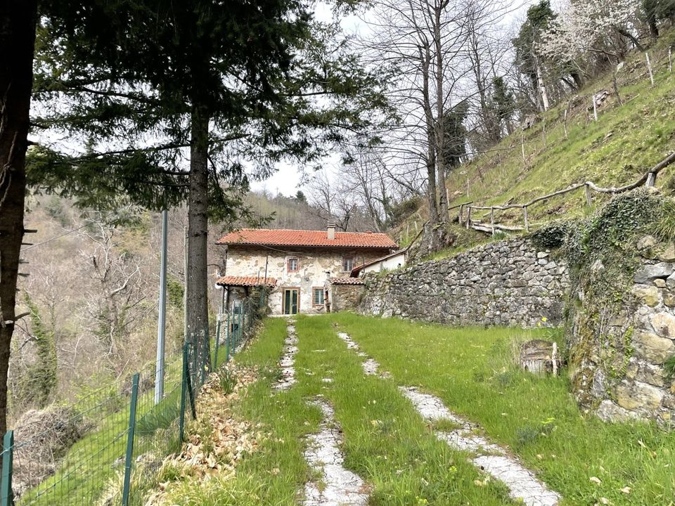 Landejendom i Castiglione di Garfagnana, Lucca - foto 1