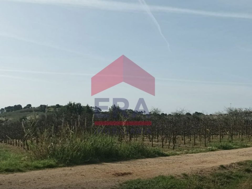 Helårsgrund i Bombarral, Leiria - foto 3