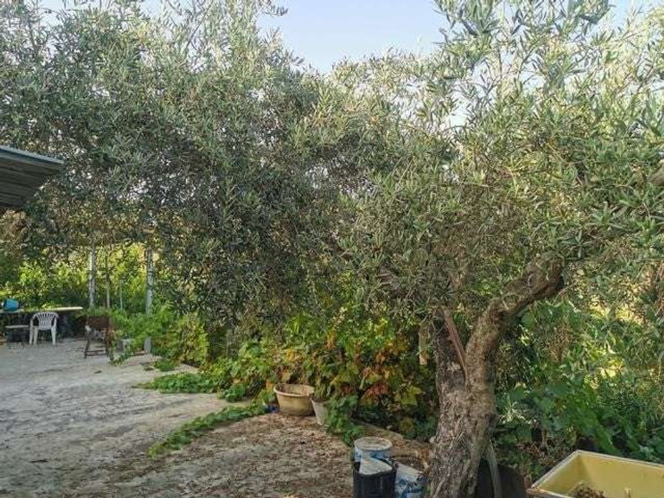 Villa i Cianciana, Agrigento - foto 3