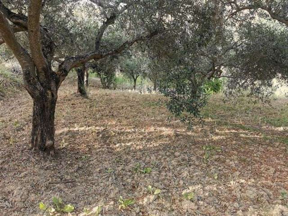 Villa i Cianciana, Agrigento - foto 5