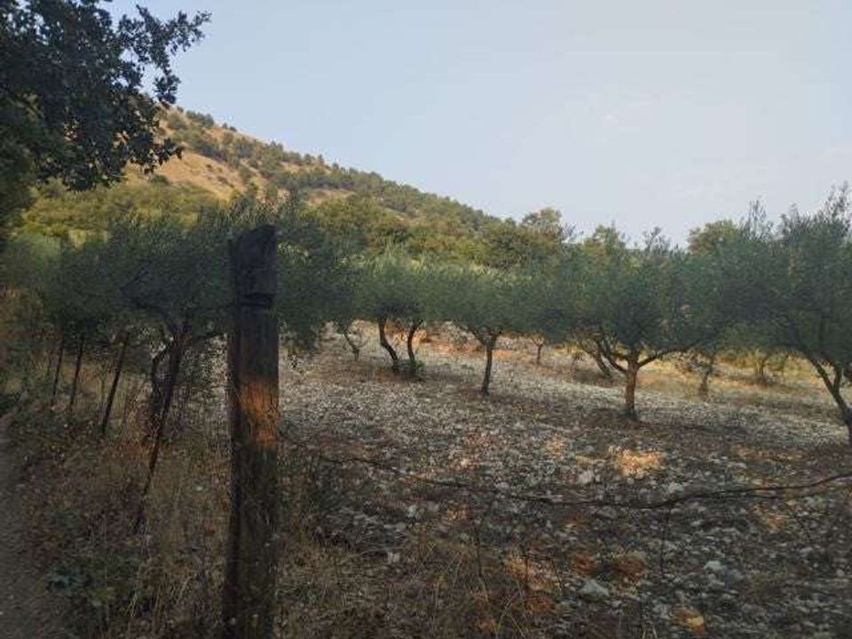 Villa i Cianciana, Agrigento - foto 2