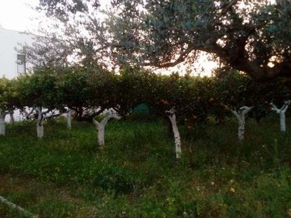 Villa i Cianciana, Agrigento - bilde 5