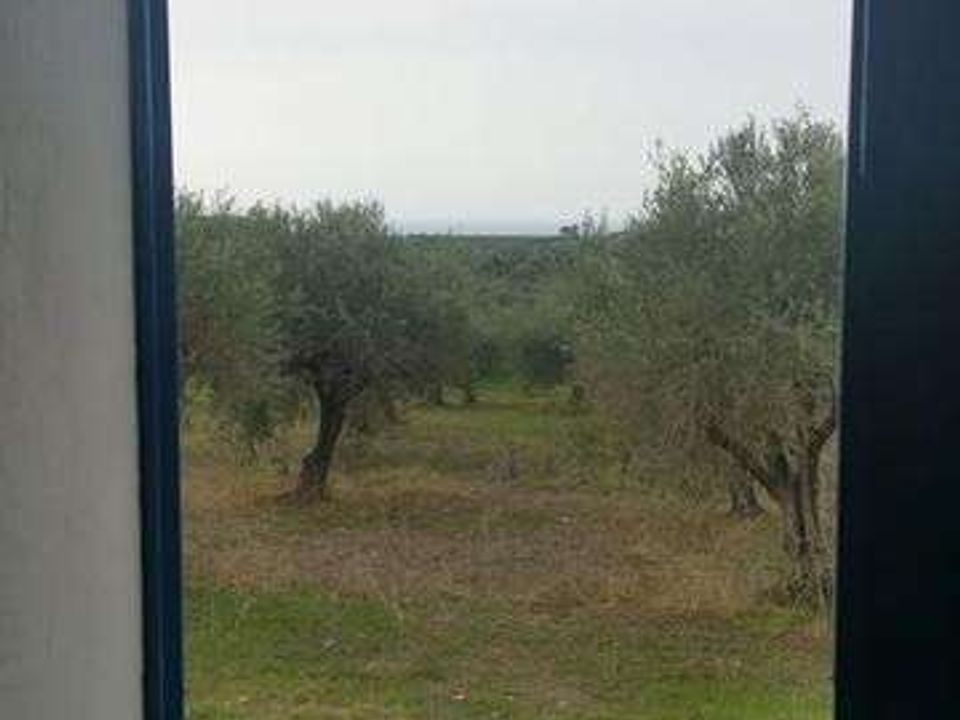 Villa i Cianciana, Agrigento - foto 5