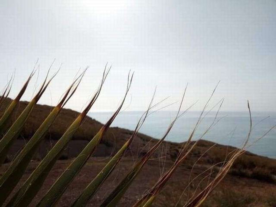 Villa i Cianciana, Agrigento - bilde 5