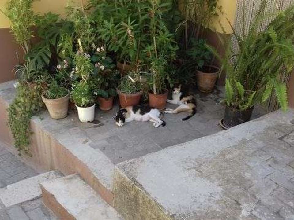 Rekkehus i Cianciana, Agrigento - bilde 4