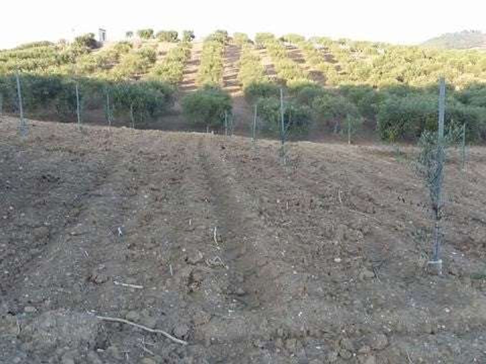 Villa i Cianciana, Agrigento - foto 2