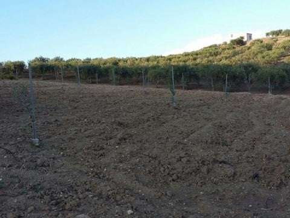 Villa i Cianciana, Agrigento - foto 5
