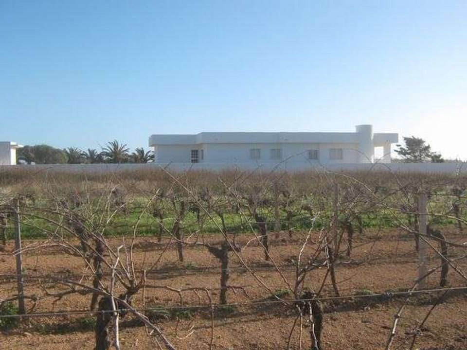Villa i Cianciana, Agrigento - bilde 4