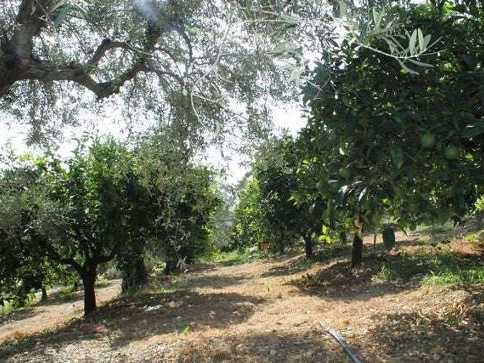 Villa i Cianciana, Agrigento - foto 2