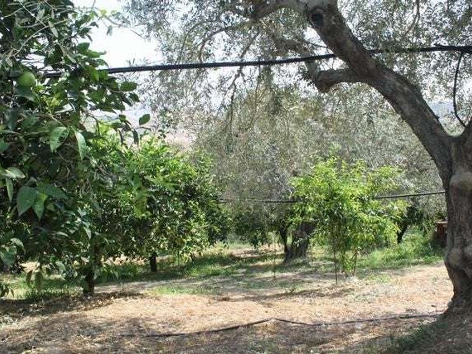 Villa i Cianciana, Agrigento - foto 3