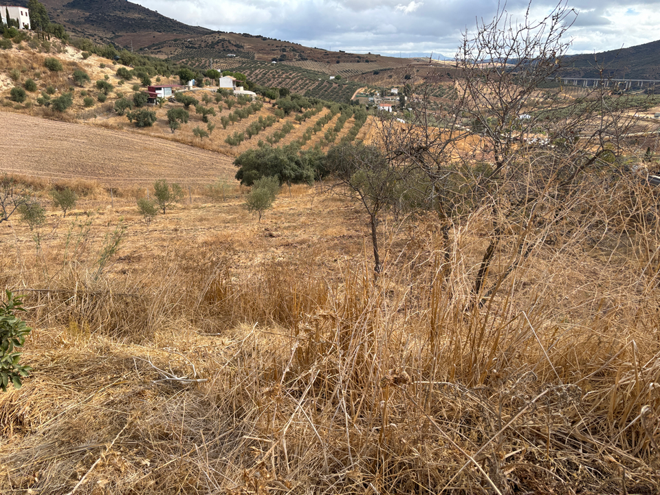 Helårsgrund i Casabermeja, Malaga - foto 2