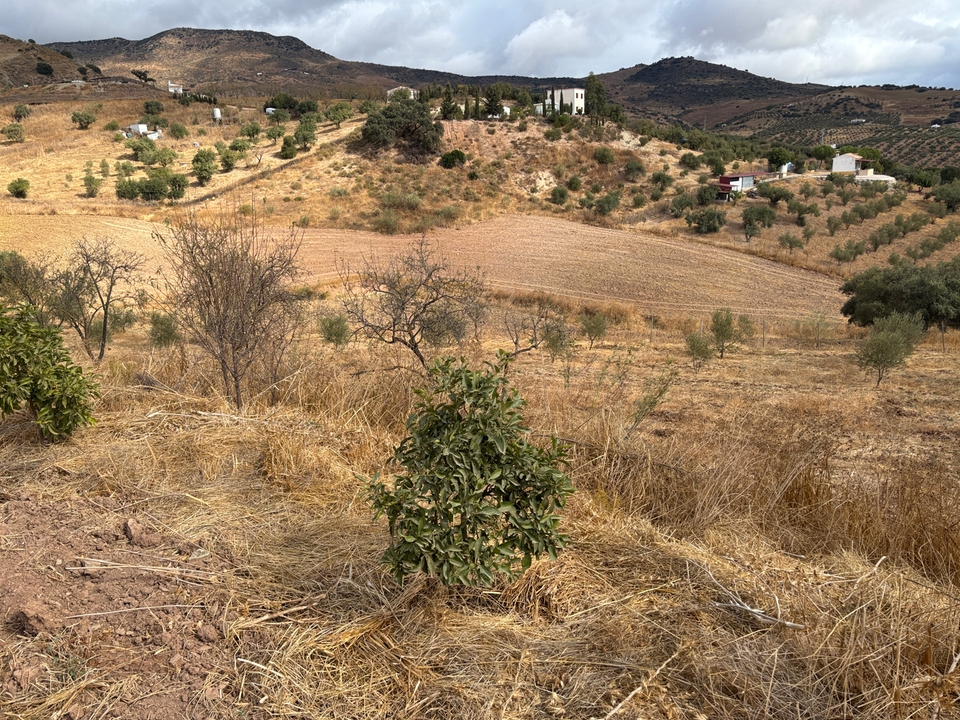 Helårsgrund i Casabermeja, Malaga - foto 4