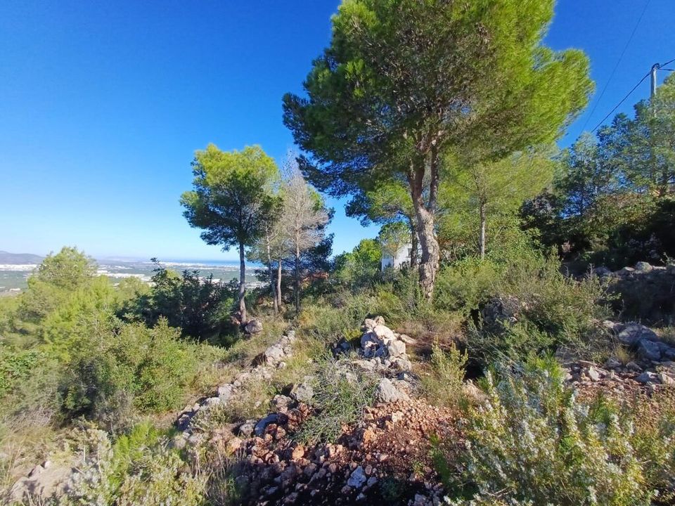Helårsgrund i Oliva, Valencia - foto 2