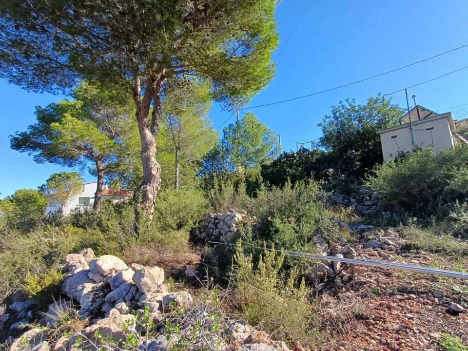 Helårsgrund i Oliva, Valencia - foto 5