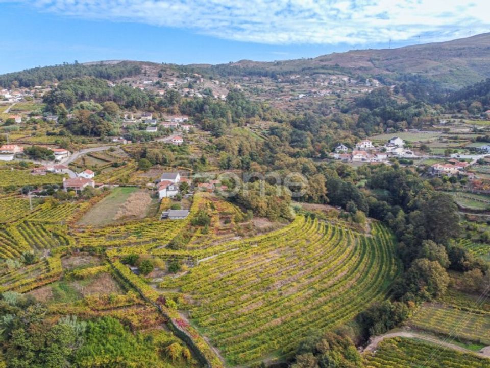 Farm i Viana do Castelo, Viana do Castelo - foto 4