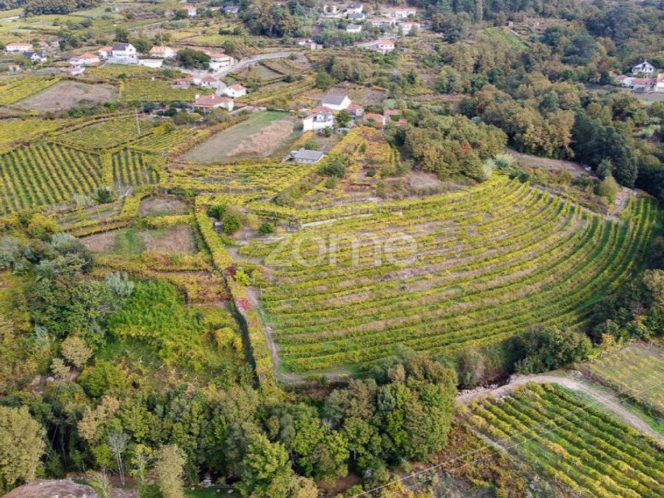 Farm i Viana do Castelo, Viana do Castelo - foto 5