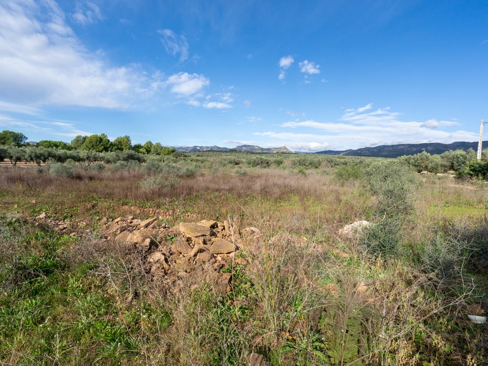 Finca i La Senia, Tarragona - foto 2