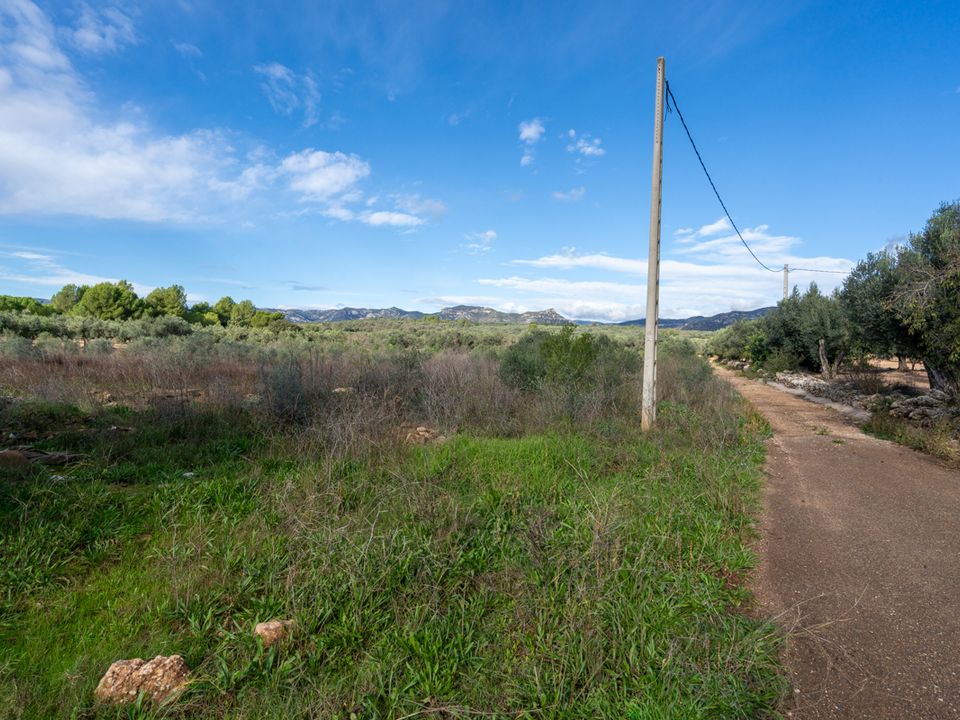Finca i La Senia, Tarragona - foto 1
