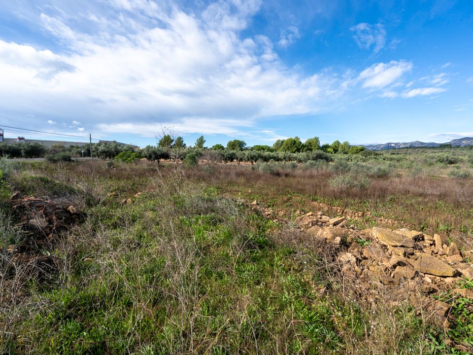 Finca i La Senia, Tarragona - foto 3