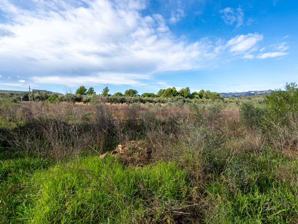 Finca i La Senia, Tarragona - foto 4