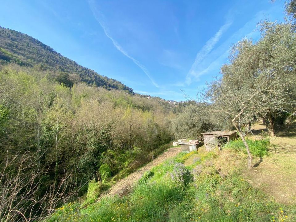 Haus in Saint-Blaise, Alpes-Maritimes - Foto 4