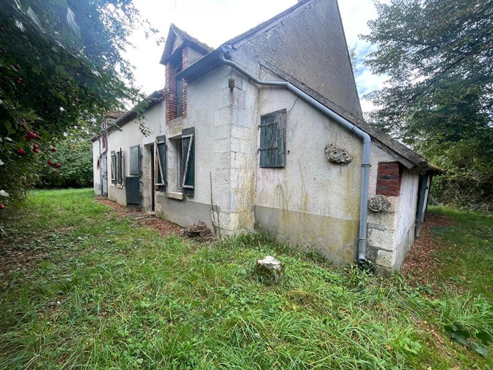 Villa i La Chapelle-sur-Aveyron, Loiret - foto 4