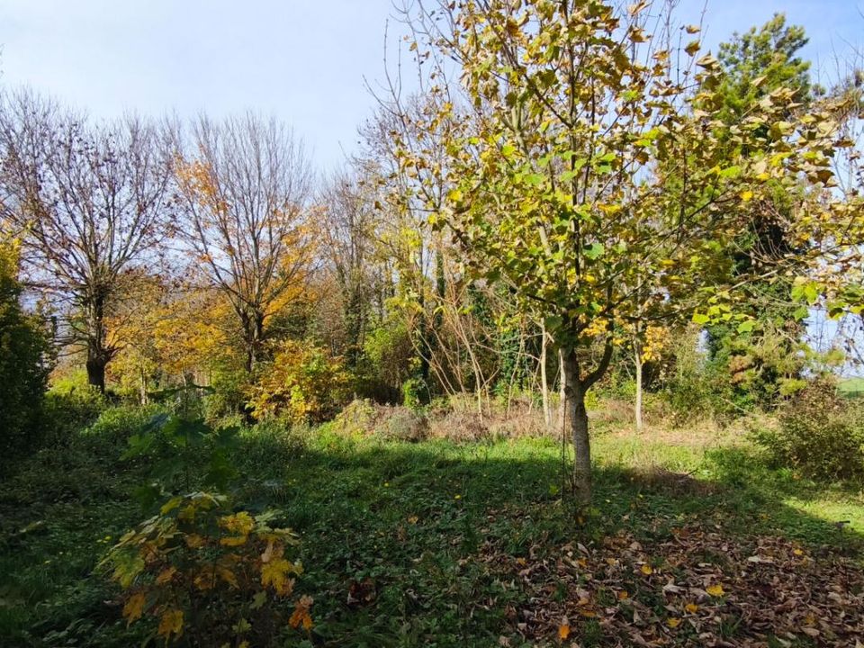 Villa i Connantre, Marne - foto 2