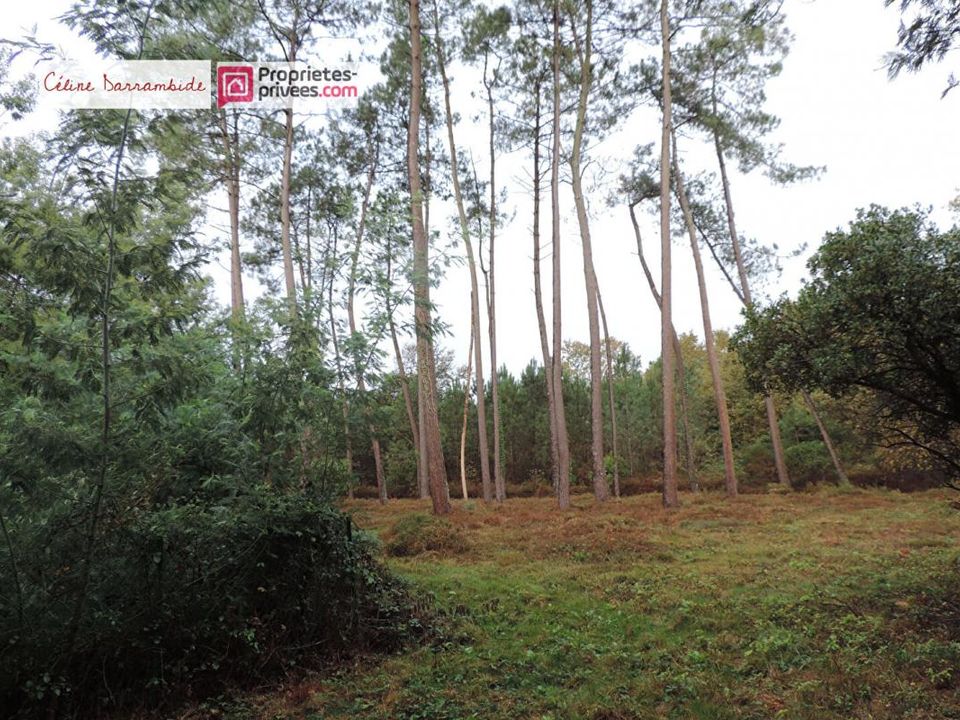 Villa i Hinx, Landes - foto 4