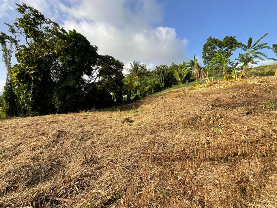 Helårsgrund i Gourbeyre, Guadeloupe - foto 3
