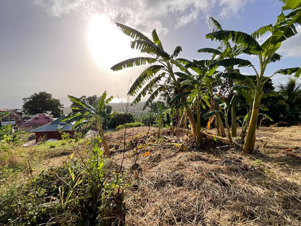 Helårsgrund i Gourbeyre, Guadeloupe - foto 4