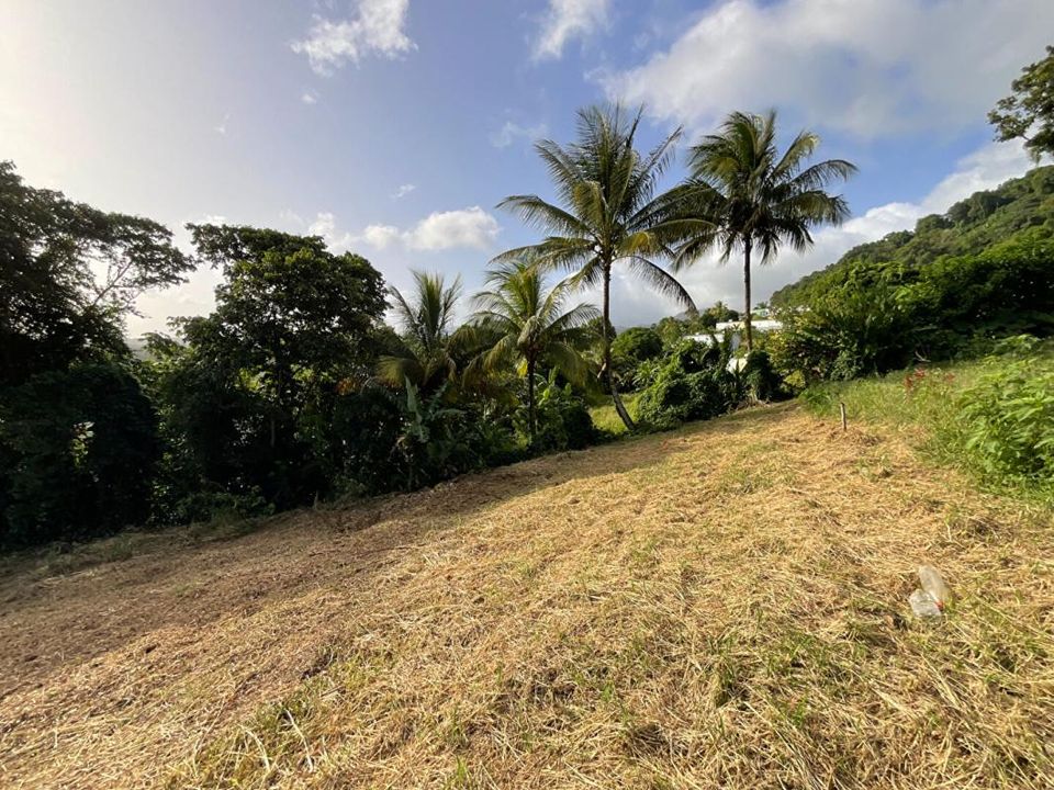 Helårsgrund i Gourbeyre, Guadeloupe - foto 5
