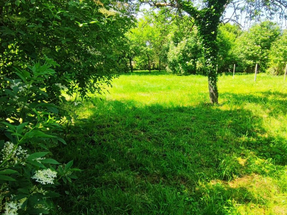 Villa i La Guerche-sur-l'Aubois, Cher - bilde 4