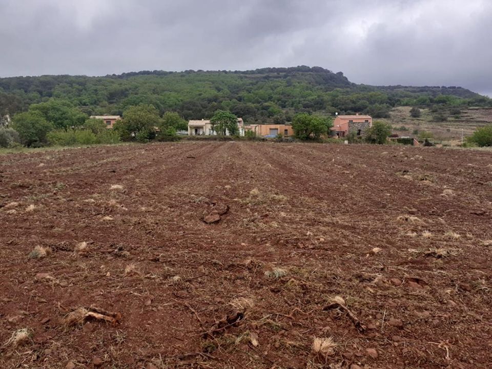 Helårsgrund i Octon, Herault - foto 1