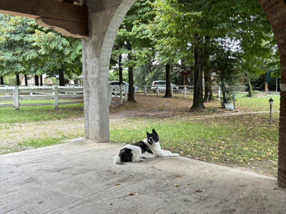 Villa a Loreggia, Padua - foto 3