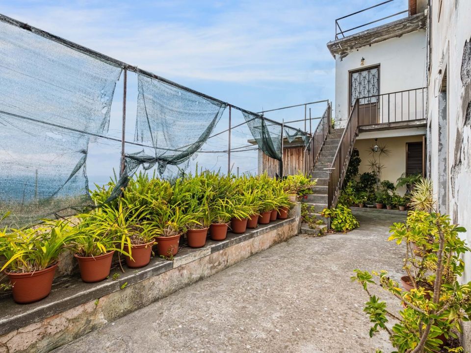 Villa i Santa Cruz, Madeira - foto 3