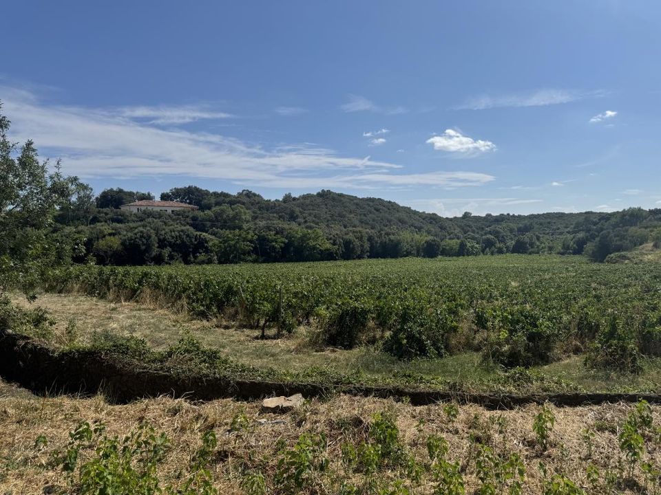Helårsgrund i Faugeres, Herault - foto 1