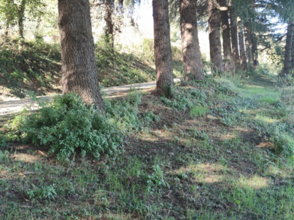 Villa i Montorso Vicentino, Vicenza - foto 3
