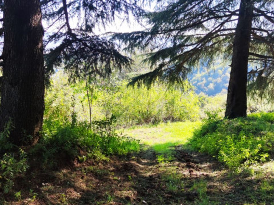 Villa i Montorso Vicentino, Vicenza - foto 5